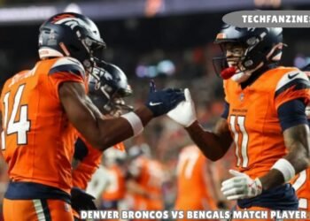 Denver Broncos vs Bengals Match Player Stats