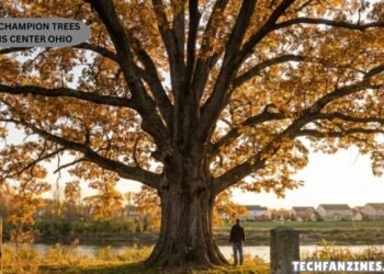 Ohio Champion Trees Lewis Center Ohio